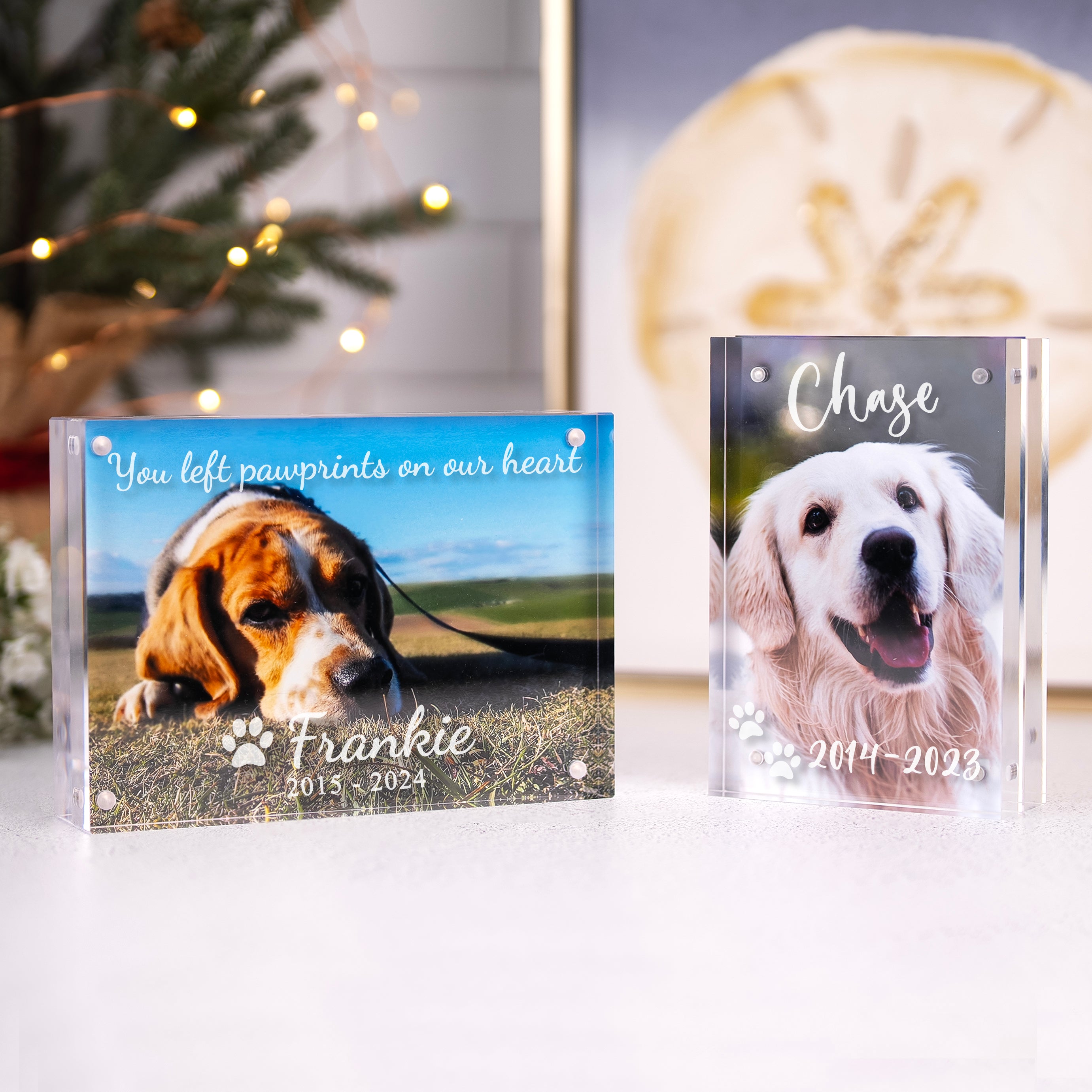 Pet Memorial